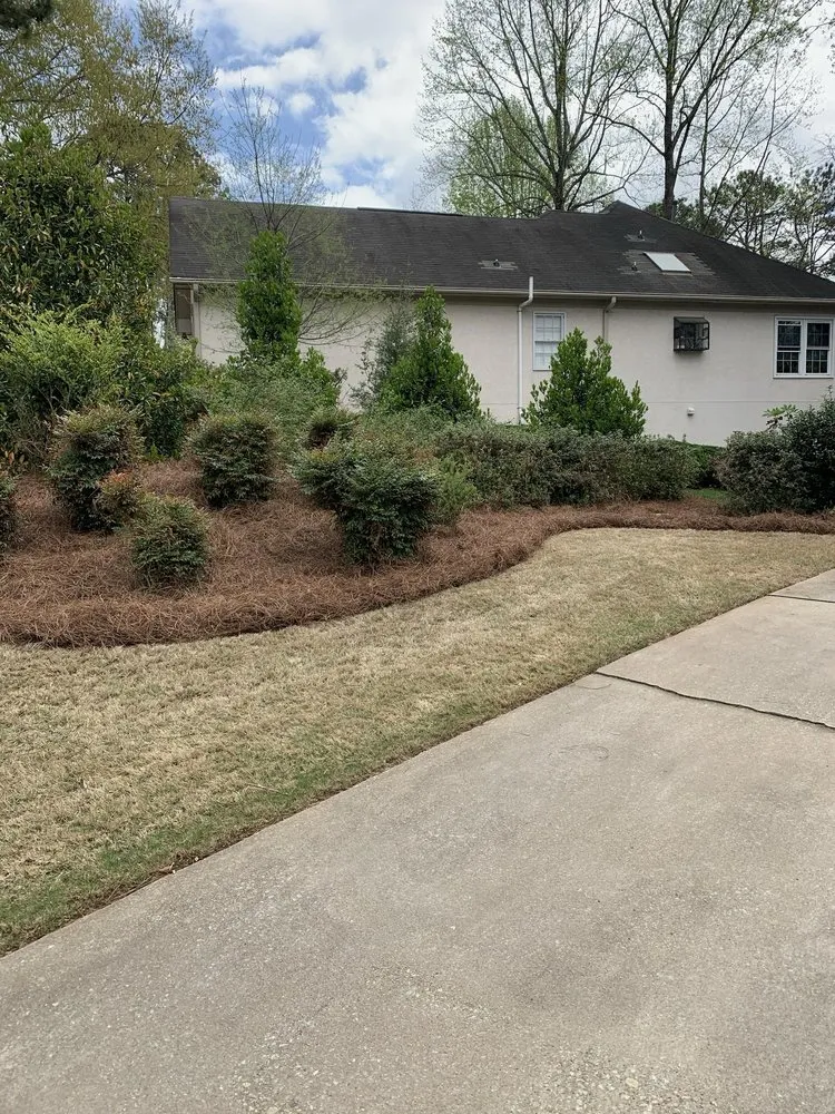 Expert yard cleanup service for outdoor upgrades across Alpharetta, GA - Metro Straw