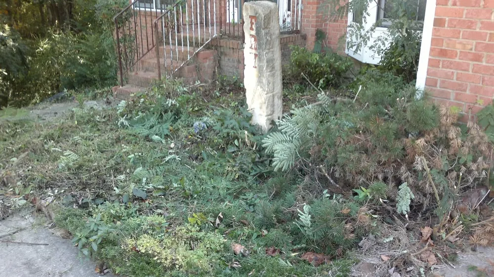 Trusted yard cleanup service for residential properties in Douglasville, GA by Metro Turf Industries & Landscape Supply Store