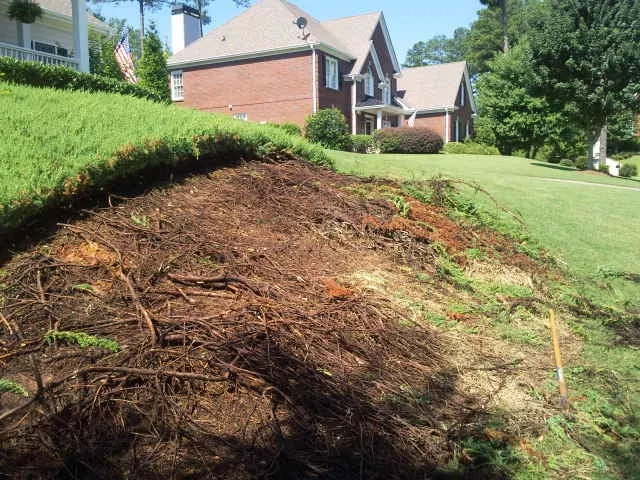 Affordable outdoor landscaping for beautiful yards across Douglasville, GA - Metro Turf Industries & Landscape Supply Store