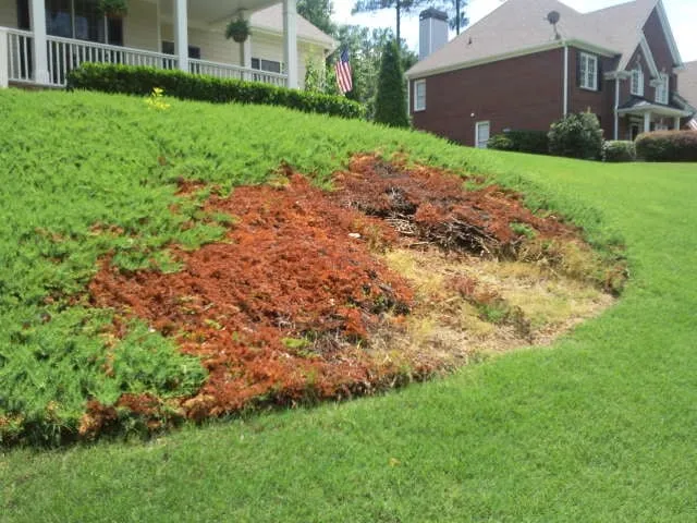 Local lawn mowing service for residential properties across Douglasville, GA - Metro Turf Industries & Landscape Supply Store