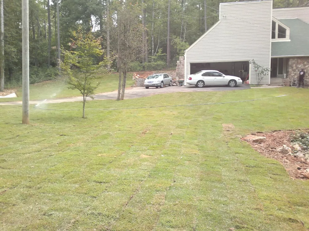 Reliable yard cleanup service near you in Douglasville, GA by Metro Turf Industries & Landscape Supply Store