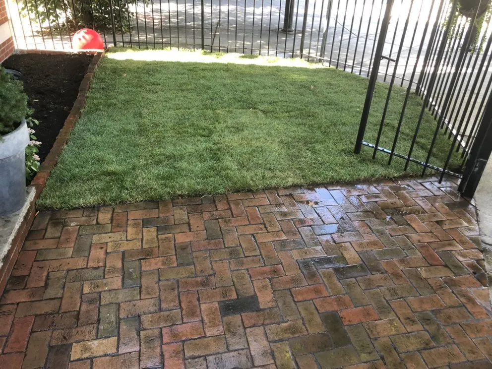 Custom yard cleanup service with custom design in Framingham, MA by Metro West Landscape & Design