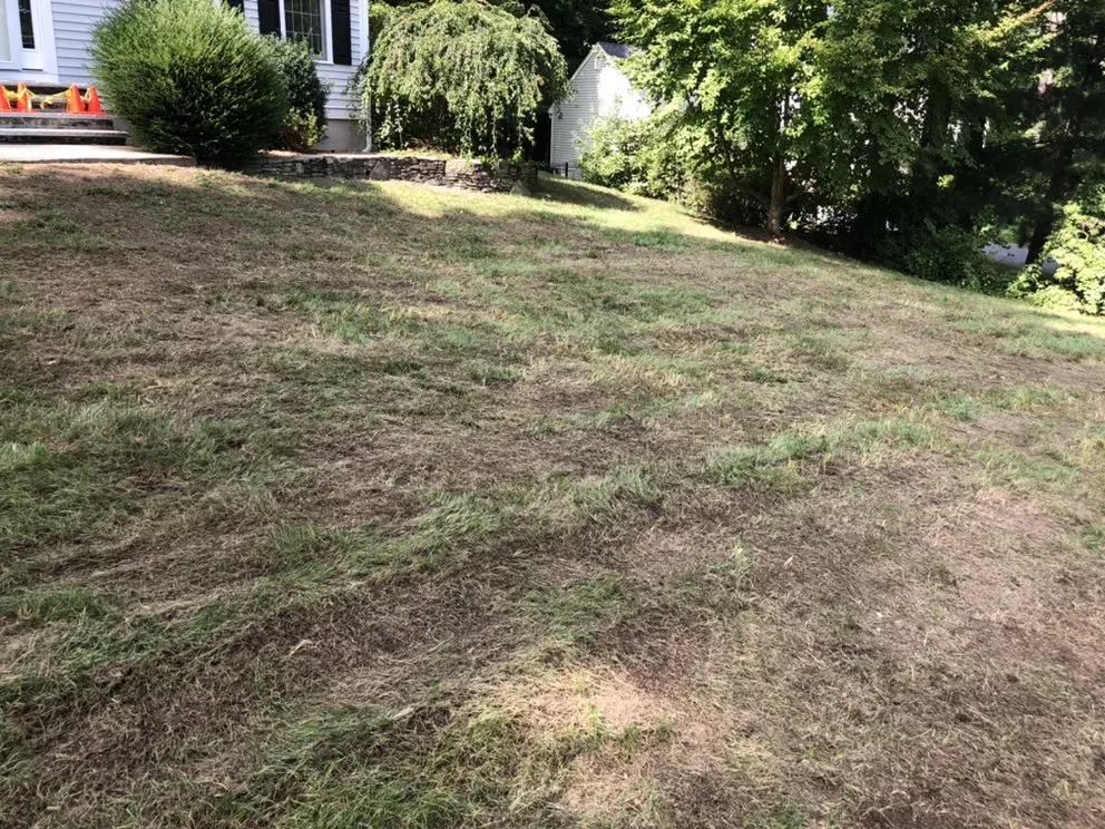 Trusted lawn mowing service for homes across Framingham, MA - Metro West Landscape & Design