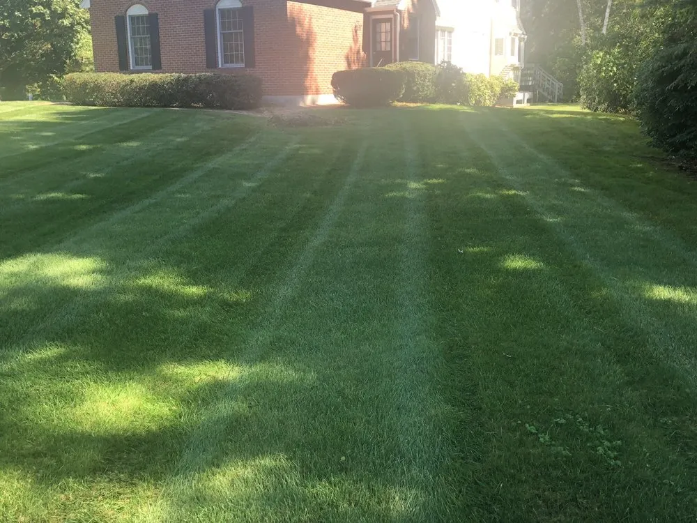 Affordable lawn care service experts serving Framingham, MA - Metro West Landscape & Design