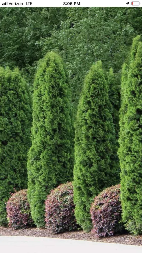 Top-rated residential landscaping in Framingham, MA - Metro West Landscape & Design