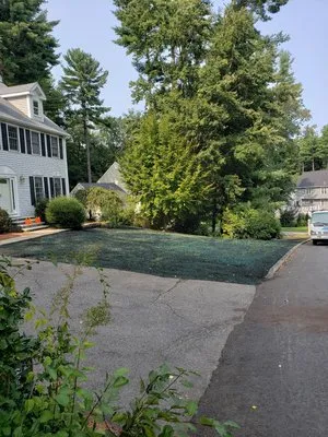 Metro West Landscape & Design