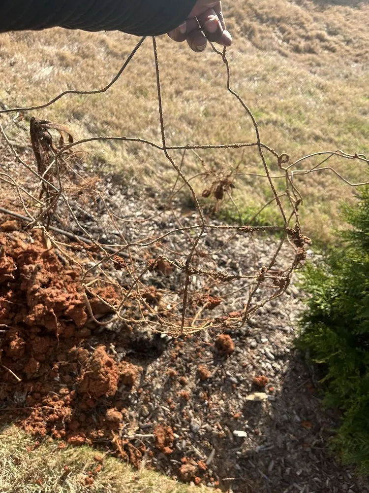 Affordable lawn care service experts serving Charlotte, NC - MetroGreenscape