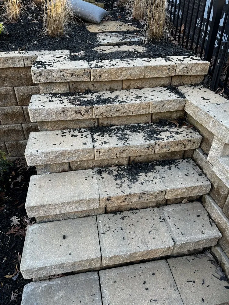 Top-rated yard cleanup service in Charlotte, NC - MetroGreenscape