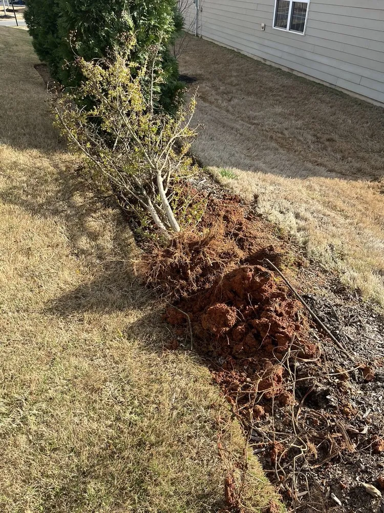 Local residential landscaping experts serving Charlotte, NC - MetroGreenscape