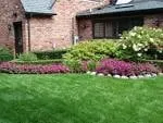 Local yard cleanup service for beautiful yards in Paris, TX by Metroplex Landscaping