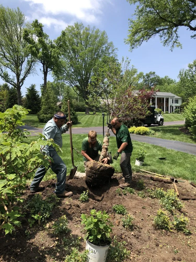 Trusted lawn mowing service in Ellisville, MO - Metropolitan Forestry Services