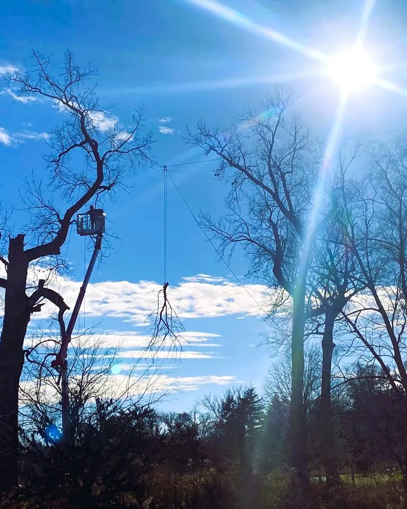 Local residential landscaping with custom design in Ellisville, MO by Metropolitan Forestry Services