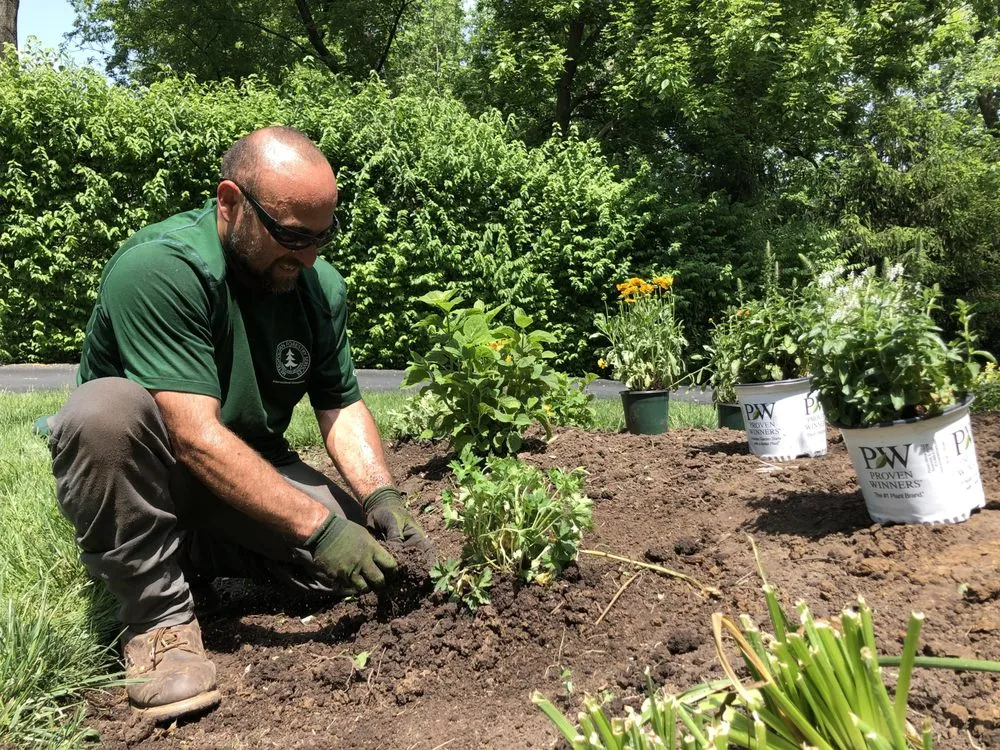 Affordable yard maintenance for outdoor upgrades in Ellisville, MO by Metropolitan Forestry Services