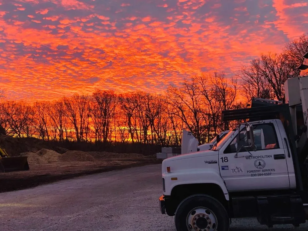 Local yard cleanup service in Ellisville, MO by Metropolitan Forestry Services