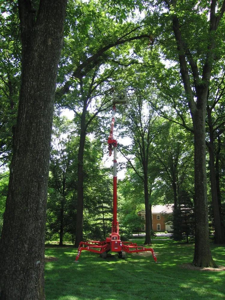 Custom landscape installation for outdoor upgrades in Ellisville, MO by Metropolitan Forestry Services