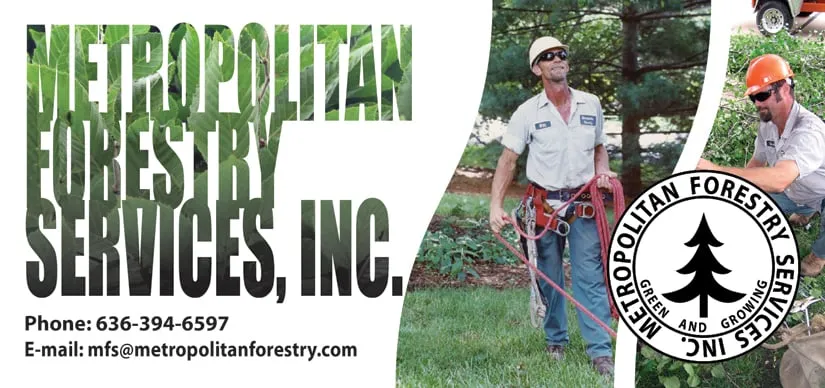 Trusted outdoor landscaping near you in Ellisville, MO by Metropolitan Forestry Services