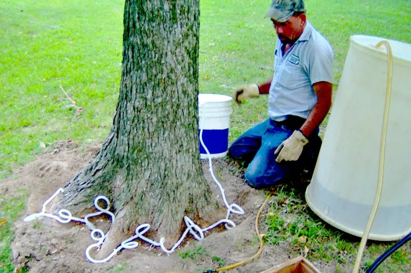 Professional outdoor landscaping in Ellisville, MO - Metropolitan Forestry Services