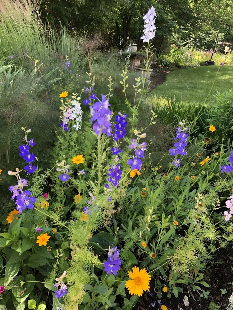 Custom lawn mowing service in Ellisville, MO - Metropolitan Forestry Services