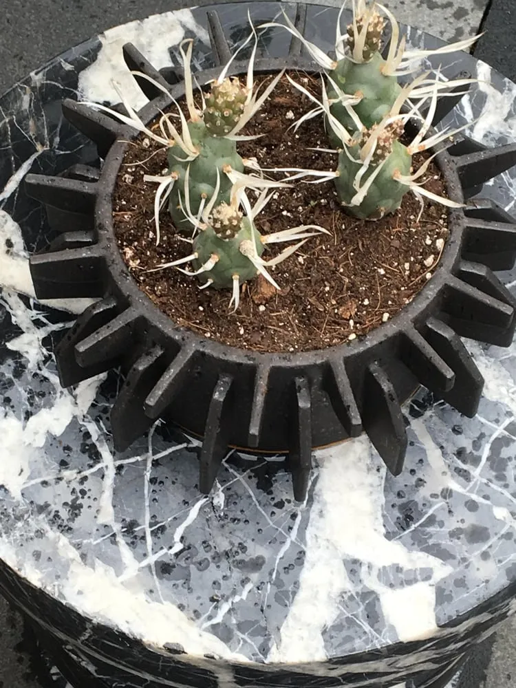 Top-rated outdoor landscaping in New York, NY by Metropolitan Garden Design