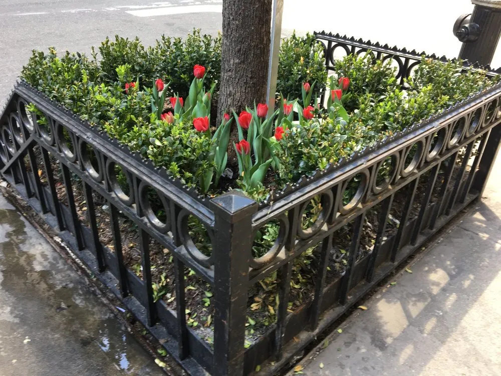 Custom landscape installation for year-round maintenance across New York, NY - Metropolitan Garden Design