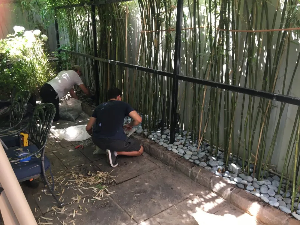 Trusted lawn mowing service in New York, NY - Metropolitan Garden Design