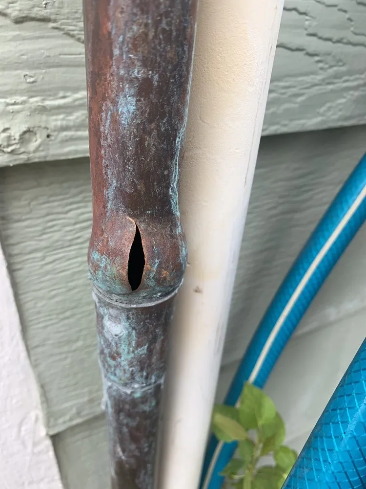 Custom residential landscaping for beautiful yards across Littleton, CO - Metropolitan Total Property