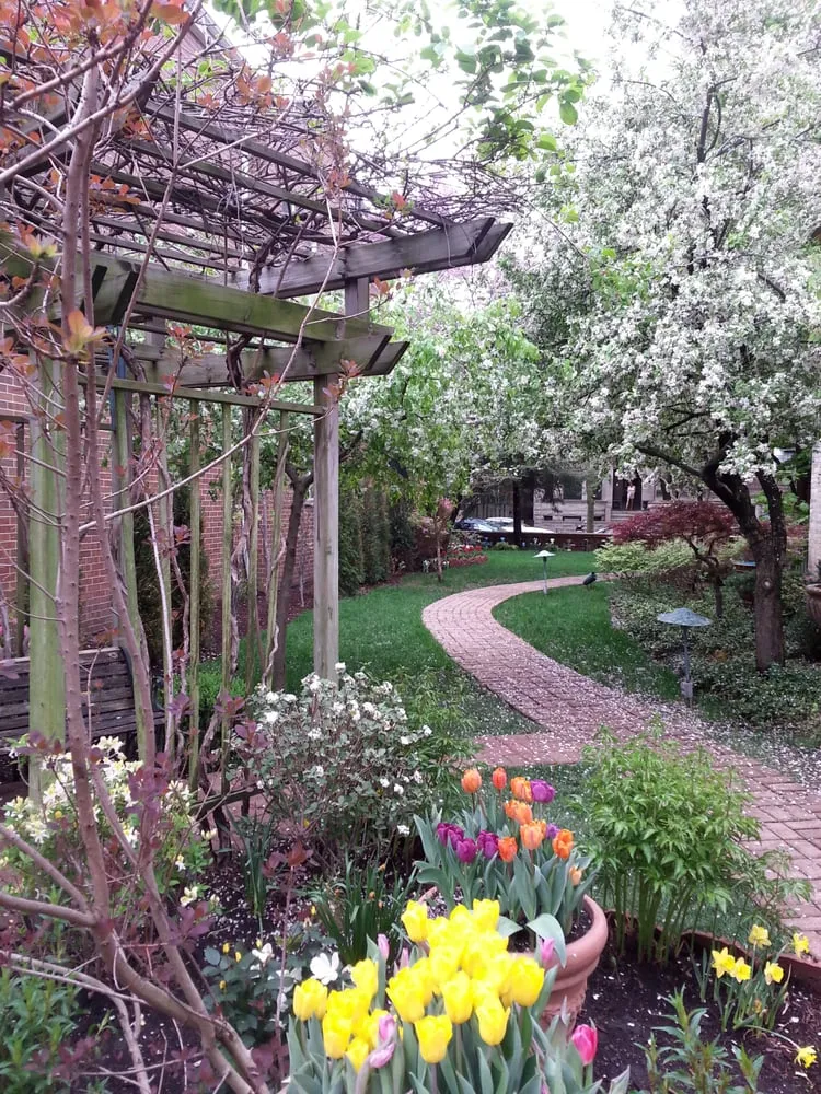 Expert lawn care service experts serving Chicago, IL - MetroScapesChicago