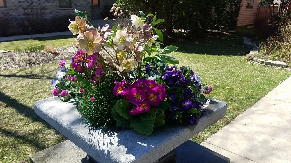 Reliable yard cleanup service experts serving Chicago, IL - MetroScapesChicago