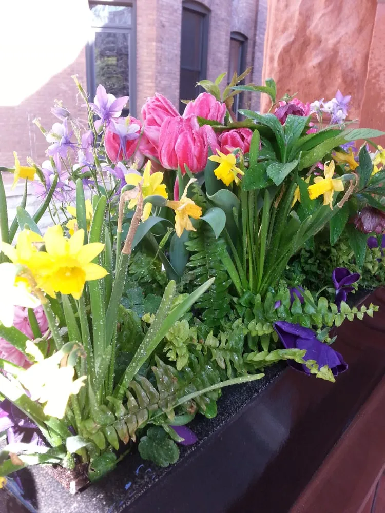 Trusted yard maintenance experts serving Chicago, IL - MetroScapesChicago