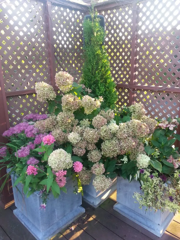 Top-rated yard maintenance in Chicago, IL - MetroScapesChicago