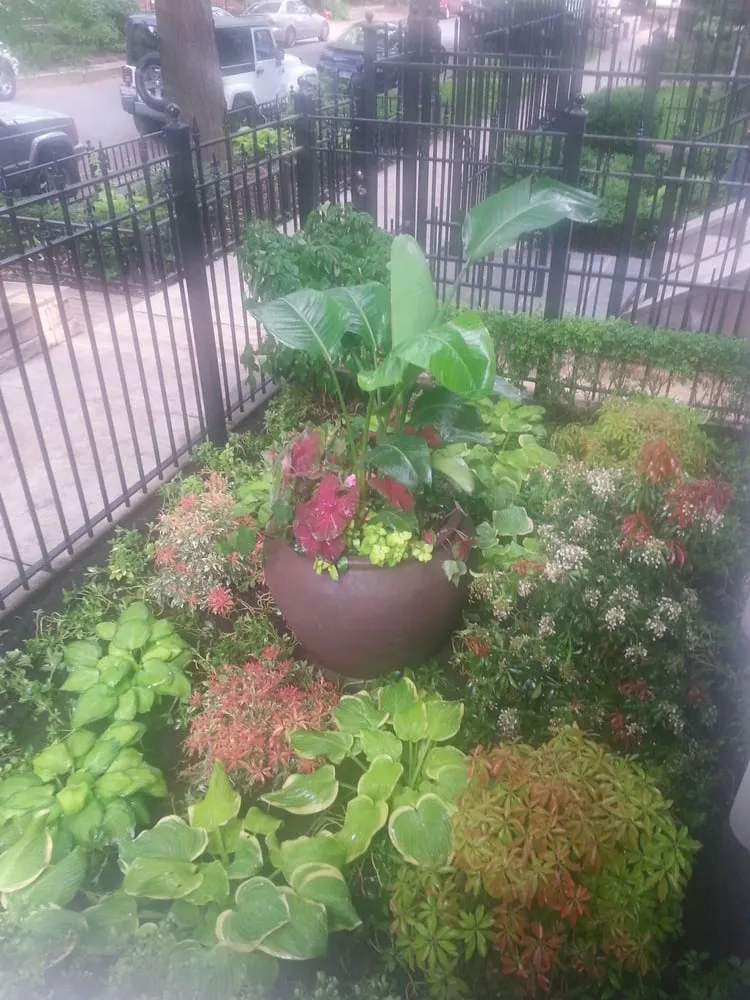 Local yard cleanup service experts serving Chicago, IL - MetroScapesChicago