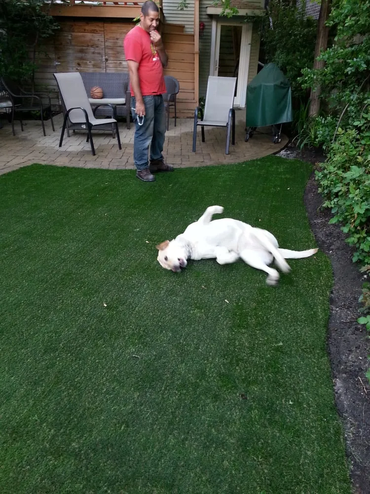 Professional landscape design in Chicago, IL - MetroScapesChicago