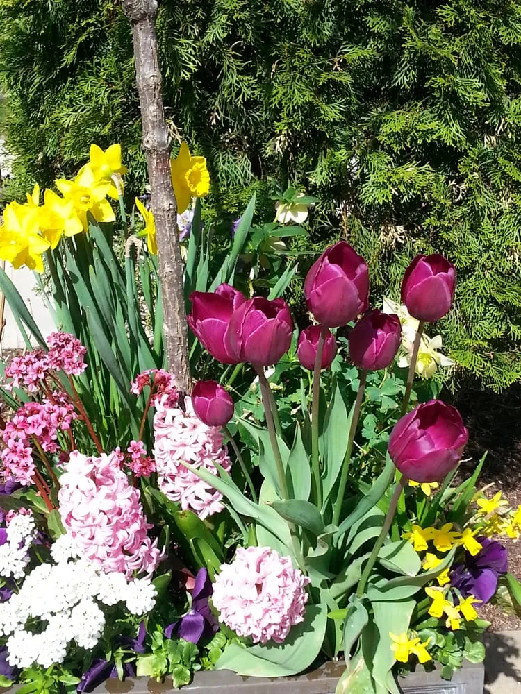 Reliable lawn care service in Chicago, IL by MetroScapesChicago