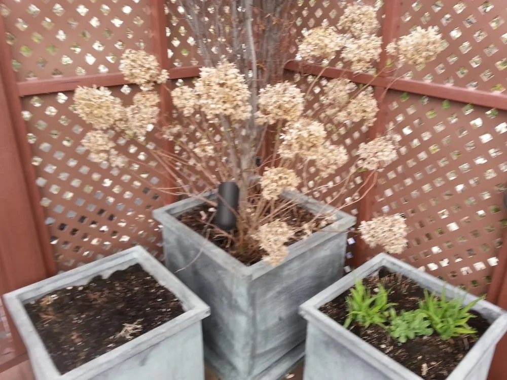 Top-rated lawn care service for year-round maintenance in Chicago, IL by MetroScapesChicago