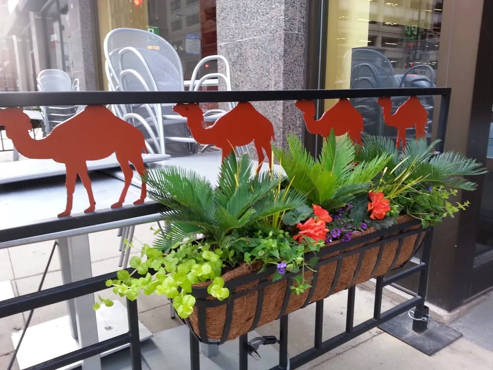 Custom yard cleanup service experts serving Chicago, IL - MetroScapesChicago