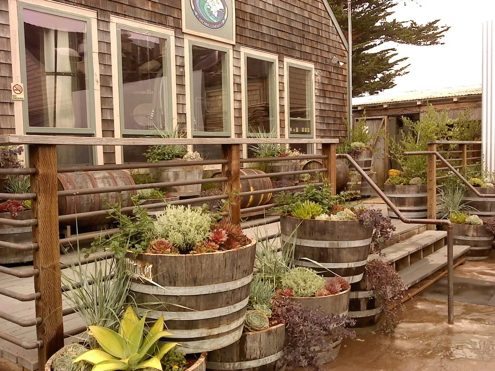 Trusted yard cleanup service experts serving Santa Cruz, CA - Metta Landscapes