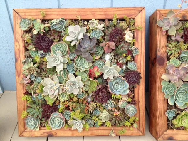 Professional garden landscaping near you in Santa Cruz, CA by Metta Landscapes