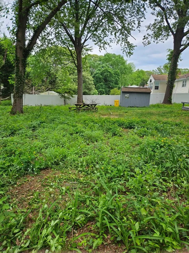 Affordable lawn mowing service in Pasadena, MD by Metter Lawn And Landscaping