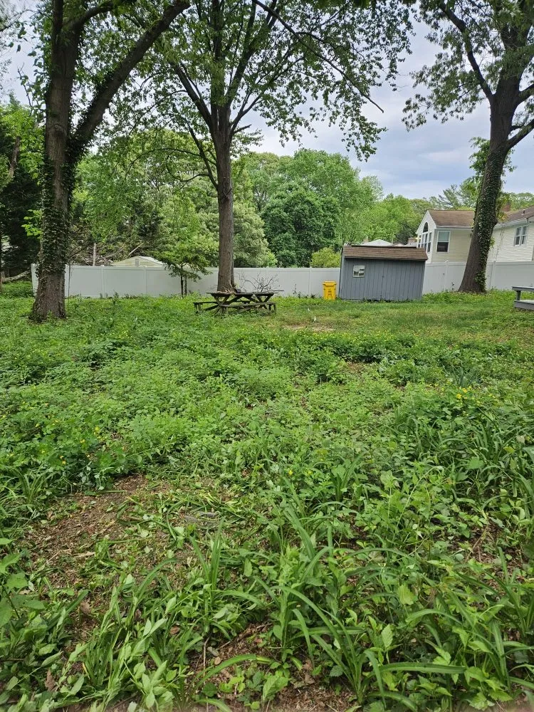 Expert landscaping services experts serving Pasadena, MD - Metter Lawn And Landscaping