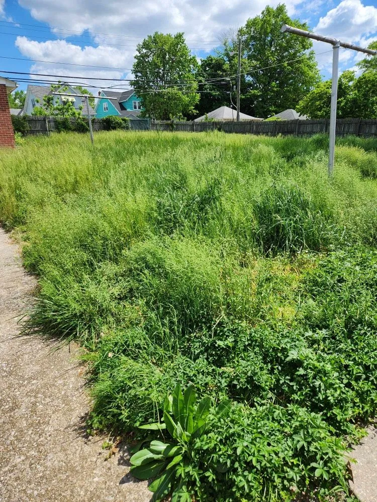 Custom lawn care service in Pasadena, MD by Metter Lawn And Landscaping