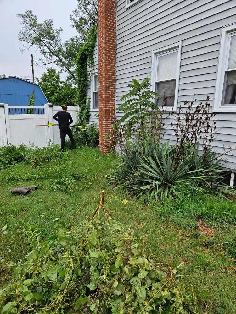 Reliable yard maintenance near you across Pasadena, MD - Metter Lawn And Landscaping