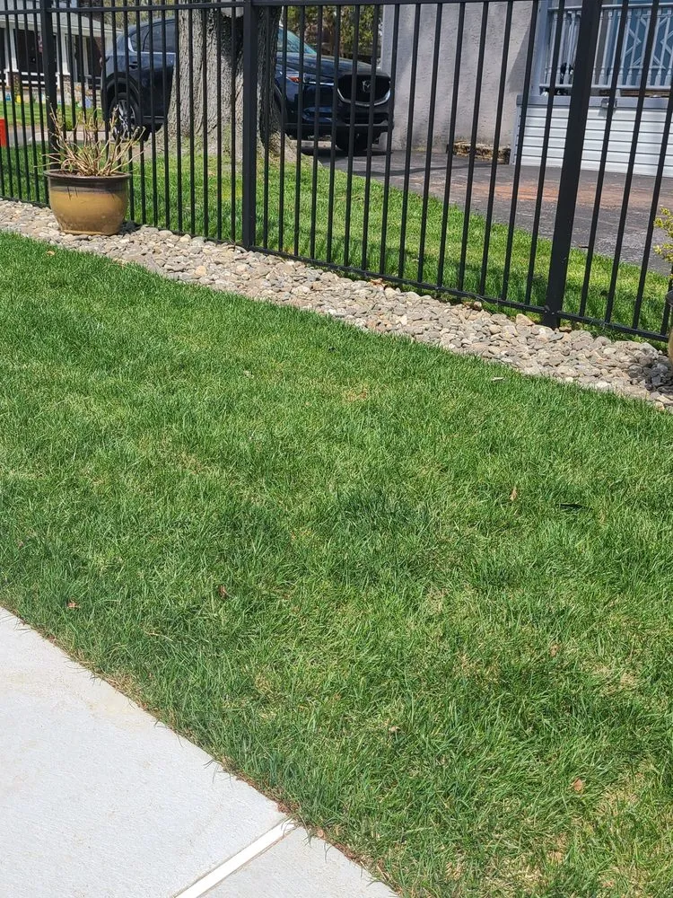 Expert lawn care service experts serving Norristown, PA - Mex Landscaping