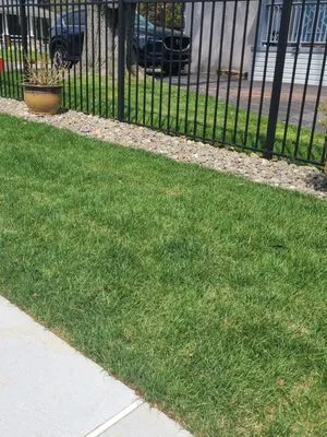 Mex Landscaping Logo