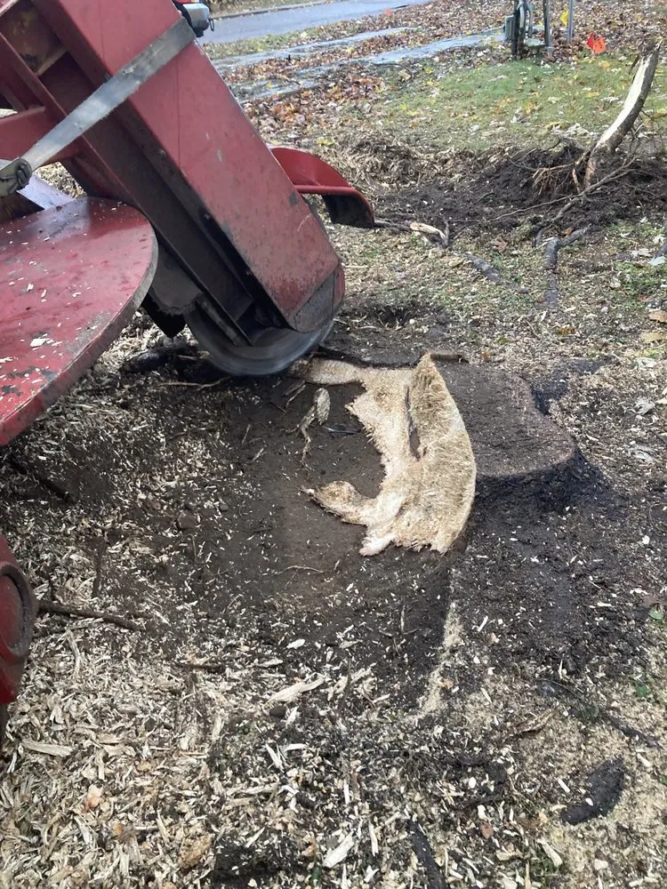 Top-rated residential landscaping for year-round maintenance across Benton Harbor, MI - Mex Lawn Care & Tree Service