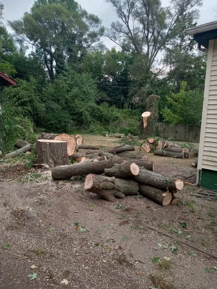 Affordable yard cleanup service for homes across Benton Harbor, MI - Mex Lawn Care & Tree Service