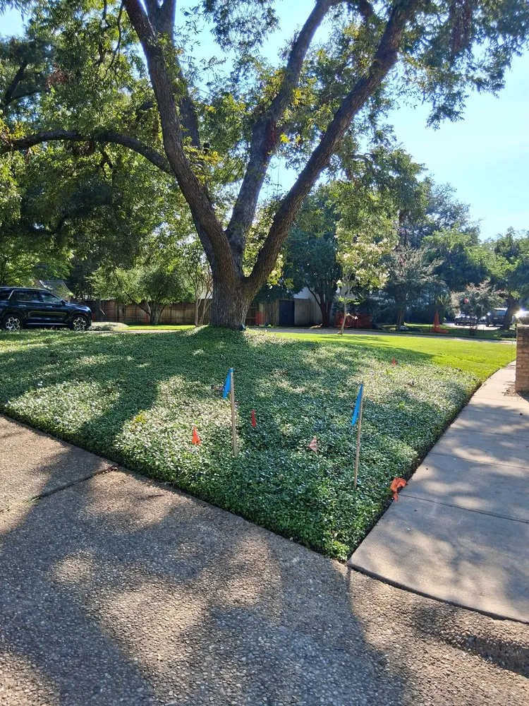 Local lawn mowing service in Garland, TX - Mexas Landscaping
