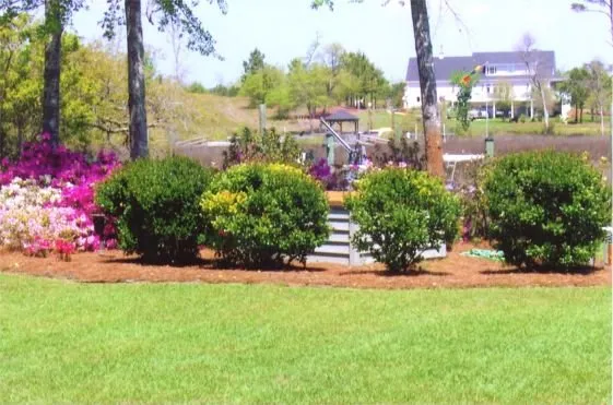 Affordable residential landscaping for beautiful yards across Burgaw, NC - Mexican Landscape Services