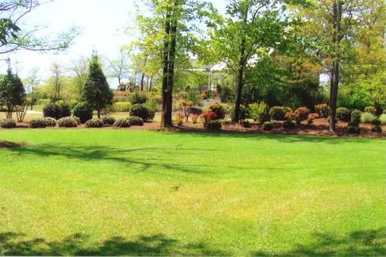 Reliable landscape installation in Burgaw, NC - Mexican Landscape Services