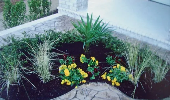 Top-rated outdoor landscaping for residential properties across Burgaw, NC - Mexican Landscape Services