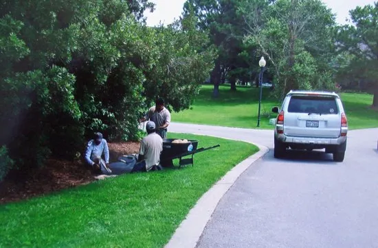 Affordable yard maintenance in Burgaw, NC by Mexican Landscape Services